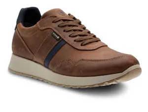 Ara 11-34515-44 - Marrone Blue